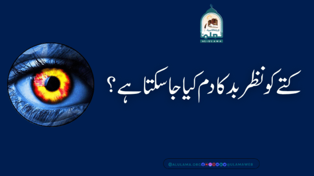 کتے کو نظر بد کا دم کیا جا سکتا ہے؟