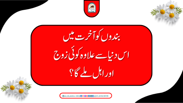 بندوں کو آخرت میں اس دنیا سے علاوہ کوئی زوج اور اہل ملے گا؟