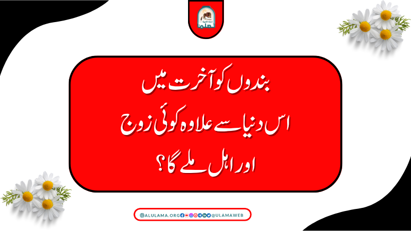 بندوں کو آخرت میں اس دنیا سے علاوہ کوئی زوج اور اہل ملے گا؟