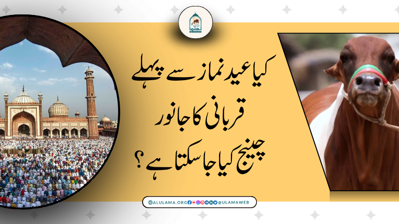 کیا عید نماز سے پہلے قربانی کا جانور چینج کیا جا سکتا ہے؟