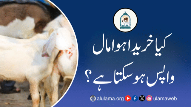 کیا خریدا ہوا مال واپس ہو سکتا ہے؟