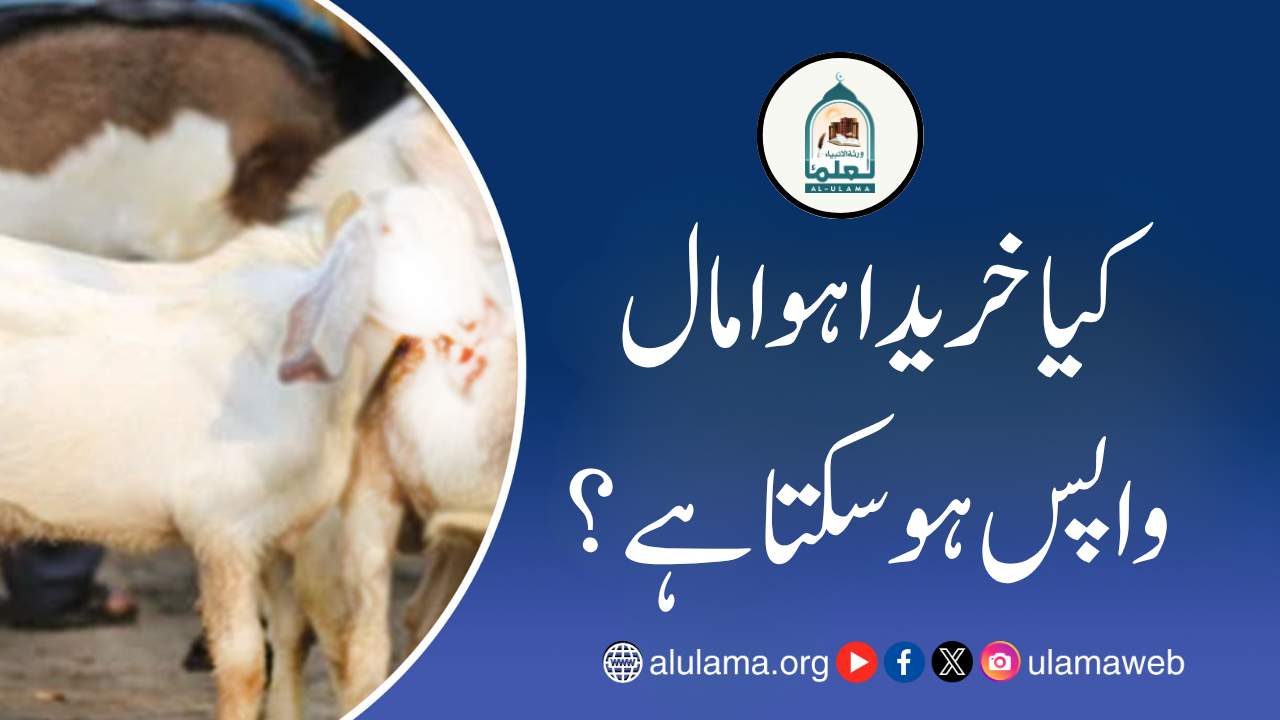 کیا خریدا ہوا مال واپس ہو سکتا ہے؟