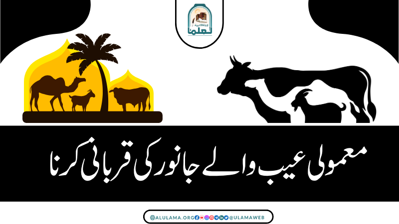 معمولی عیب والے جانور کی قربانی کرنا