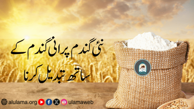 نئی گندم پرانی گندم کے ساتھ تبدیل کرنا