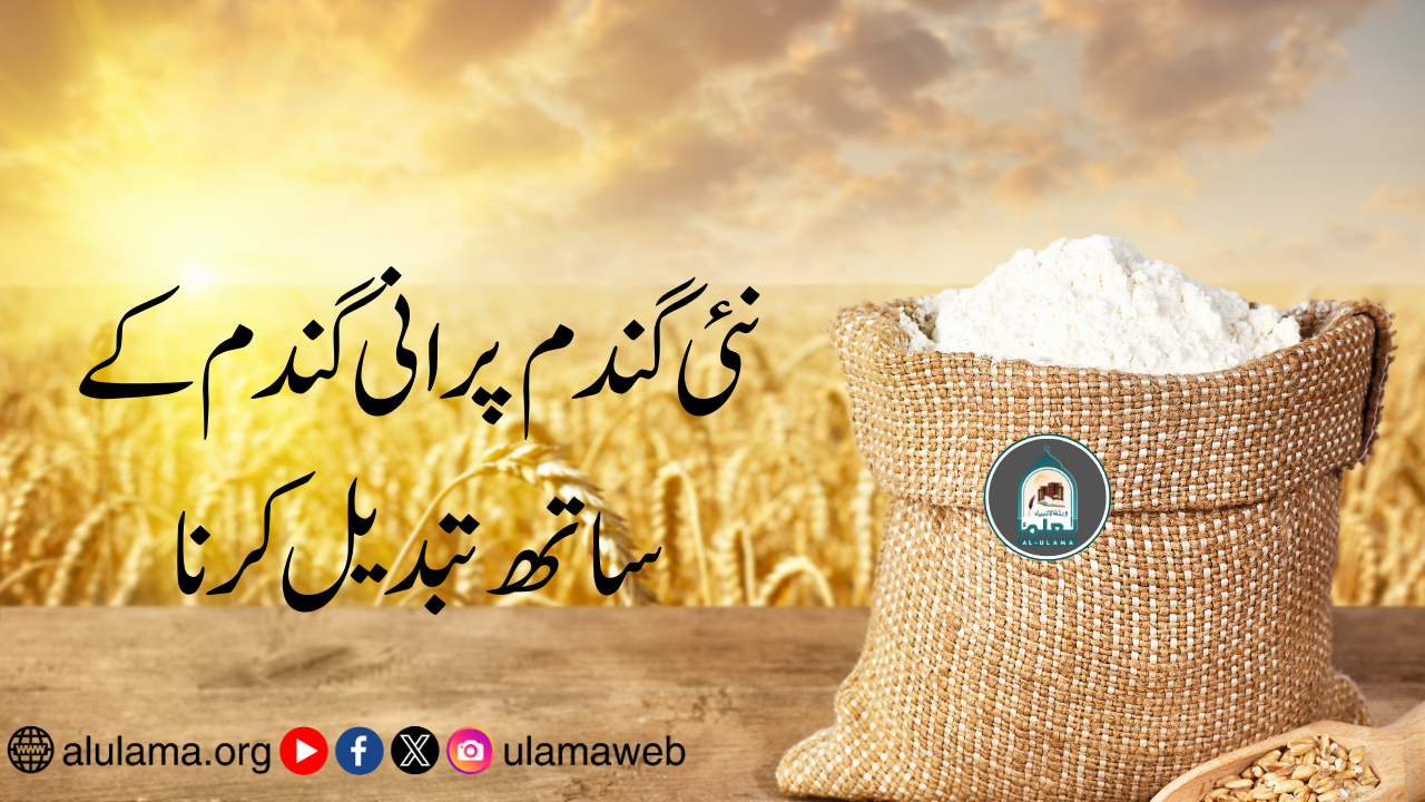 نئی گندم پرانی گندم کے ساتھ تبدیل کرنا