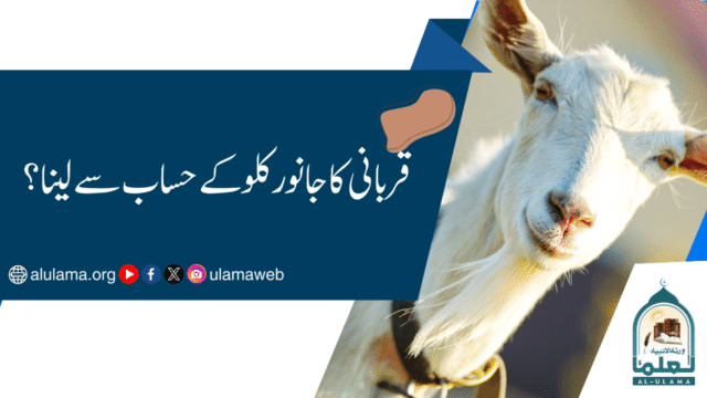 قربانی کا جانور کلو کے حساب سے لینا؟
