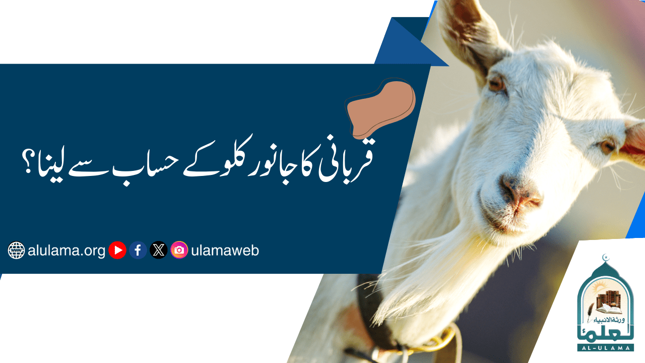 قربانی کا جانور کلو کے حساب سے لینا؟