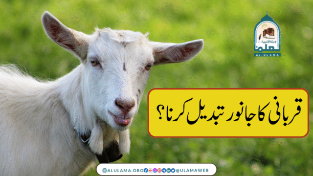 قربانی کا جانور تبدیل کرنا؟