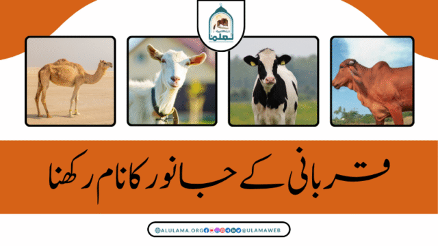 قربانی کے جانور کا نام رکھنا