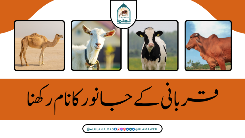 قربانی کے جانور کا نام رکھنا