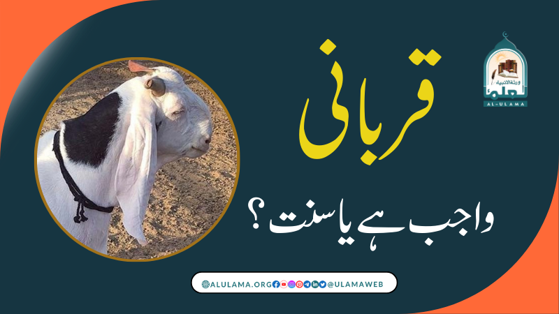 قربانی واجب ہے یا سنت؟