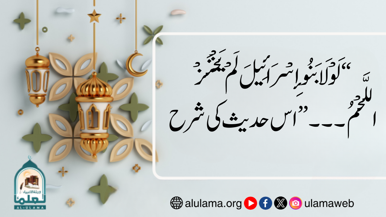 “لَوْلَا بَنُو إِسْرَائِيلَ لَمْ يَخْنَزْ اللَّحْمُ۔۔۔” اس حدیث کی شرح