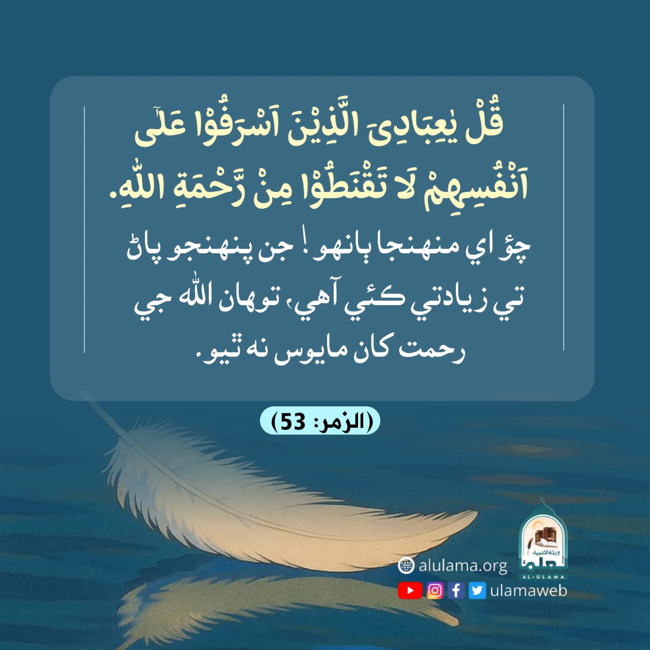 نا اميد نه ٿيو
