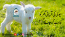 بیوی کی قربانی گھر کو کفایت کر جائے گی؟