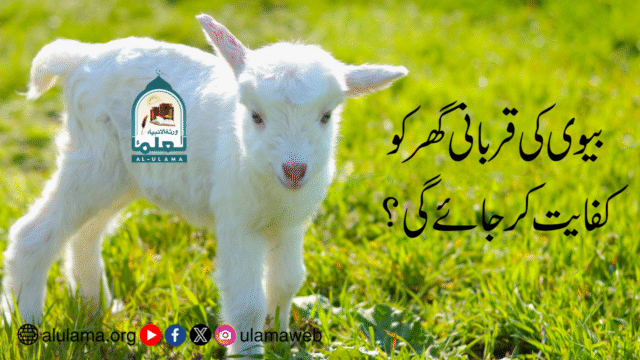 بیوی کی قربانی گھر کو کفایت کر جائے گی؟