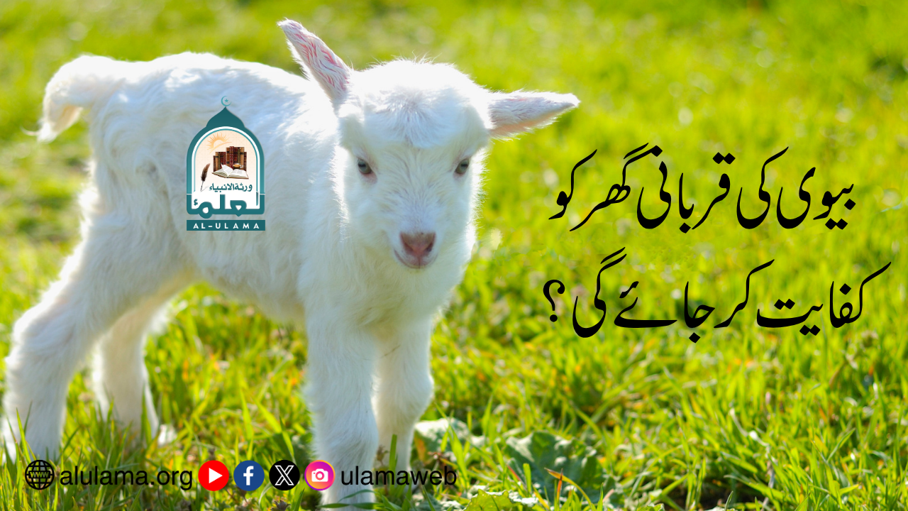 بیوی کی قربانی گھر کو کفایت کر جائے گی؟