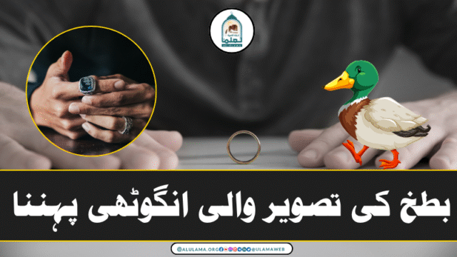 بطخ کی تصویر والی انگوٹھی پہننا