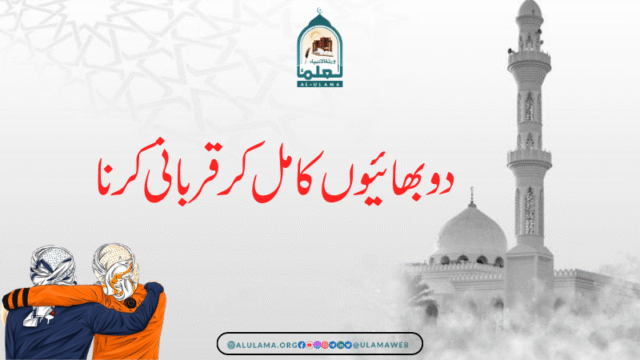 دو بھائیوں کا مل کر قربانی کرنا