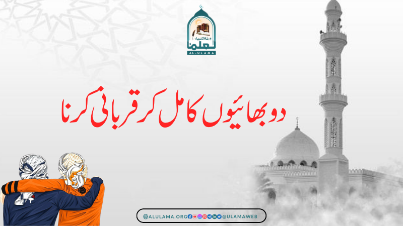 دو بھائیوں کا مل کر قربانی کرنا