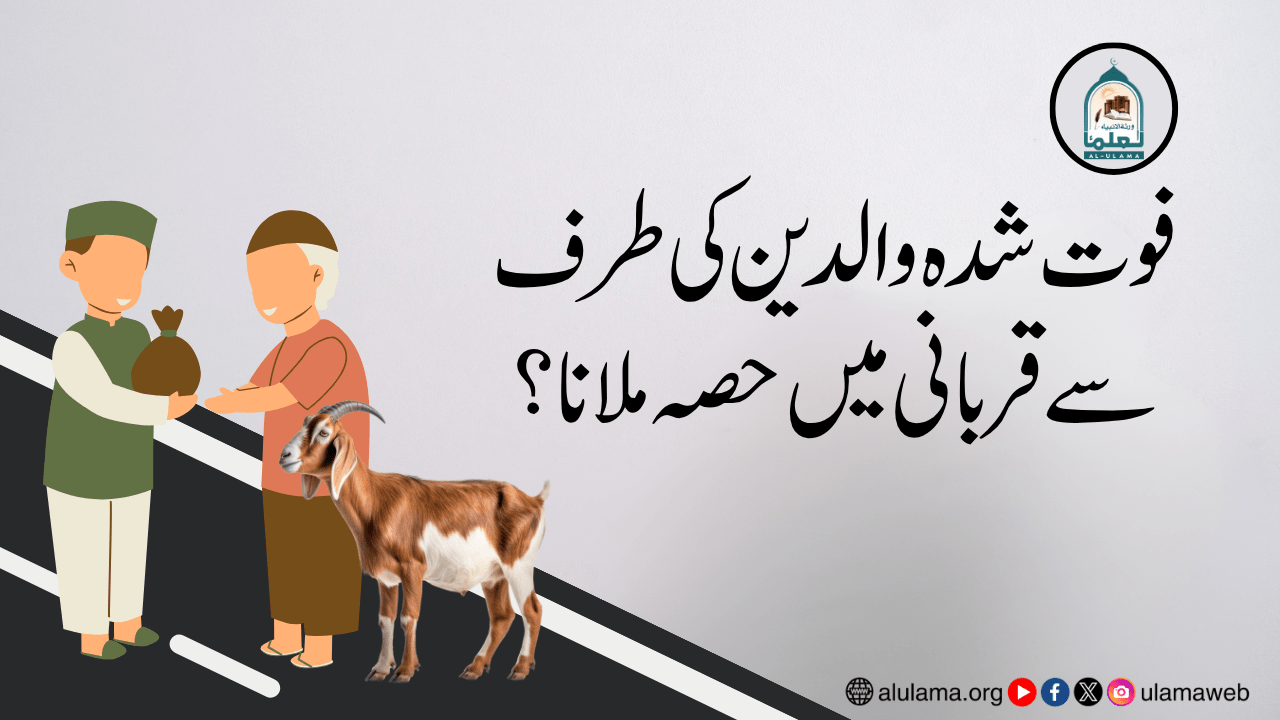 فوت شدہ والدین کی طرف سے قربانی میں حصہ ملانا؟