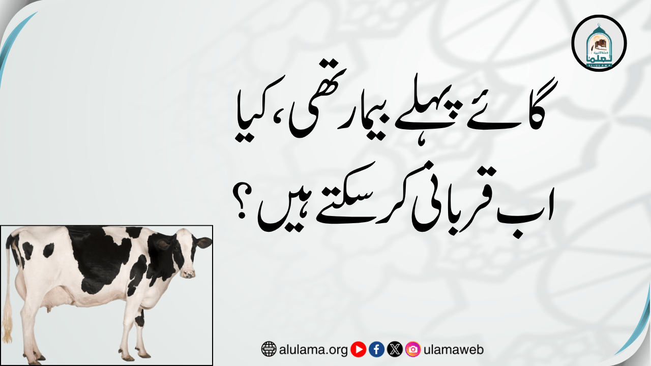 گائے پہلے بیمار تھی، کیا اب قربانی کر سکتے ہیں؟