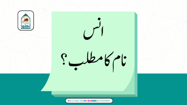 انس نام کا مطلب؟