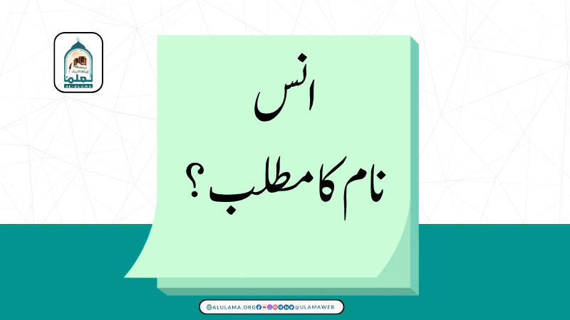 انس نام کا مطلب؟