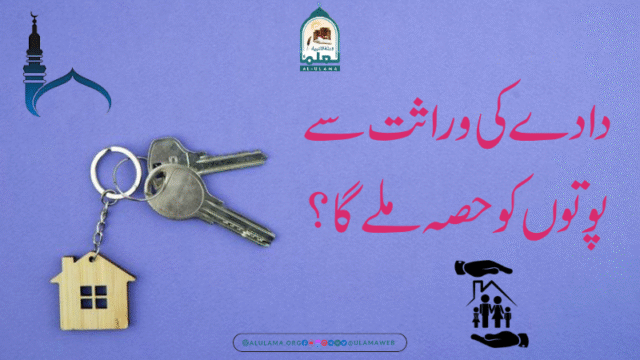 دادے کی وراثت سے پوتوں کو حصہ ملے گا؟