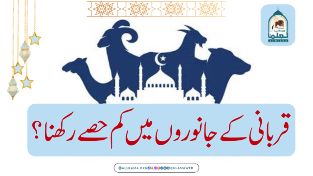 قربانی کے جانوروں میں کم حصے رکھنا؟