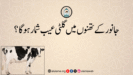 جانور کے تھنوں میں گلٹی عیب شمار ہوگا؟