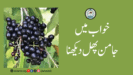 خواب میں جامن پھل دیکھنا
