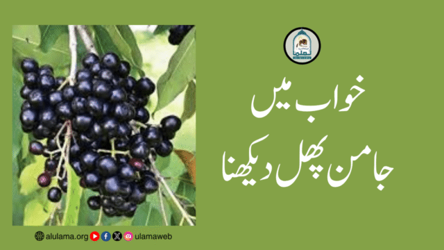 خواب میں جامن پھل دیکھنا