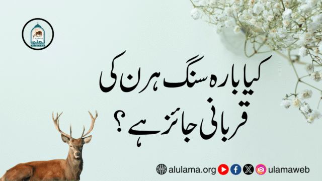 کیا بارہ سنگ ہرن کی قربانی جائز ہے؟