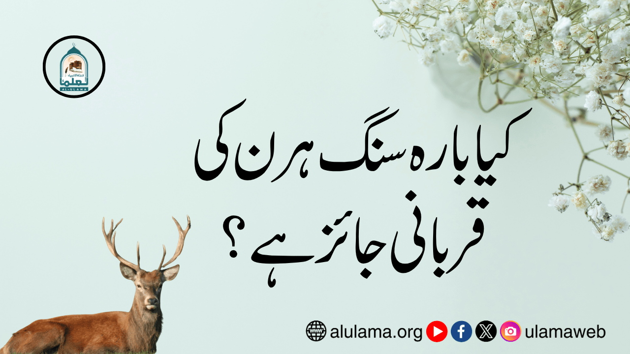 کیا بارہ سنگ ہرن کی قربانی جائز ہے؟