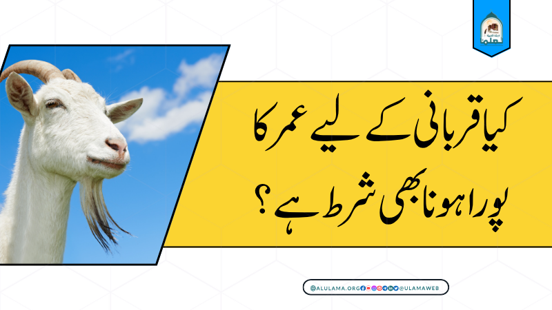 کیا قربانی کے لیے عمر کا پورا ہونا بھی شرط ہے؟