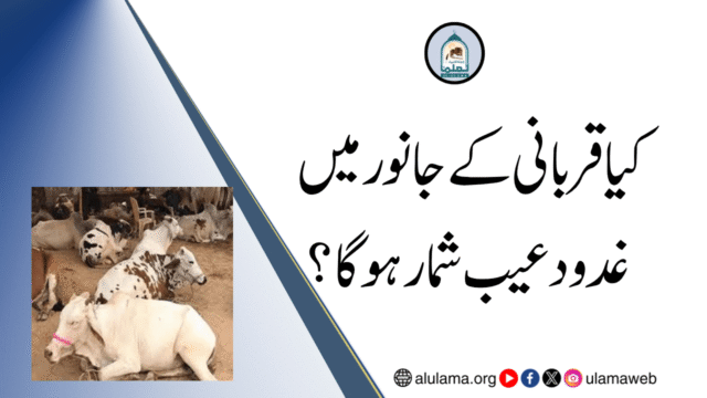 کیا قربانی کے جانور میں غدود عیب شمار ہوگا؟