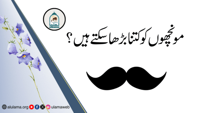 مونچھوں کو کتنا بڑھا سکتے ہیں؟