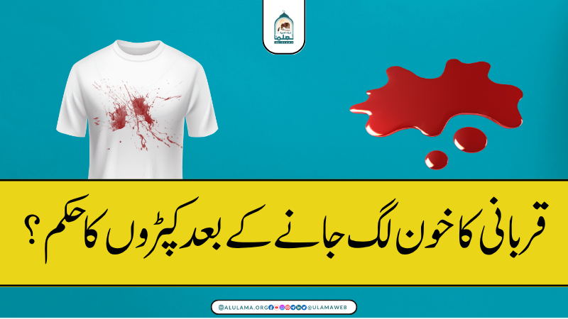 قربانی کا خون لگ جانے کے بعد کپڑوں کا حکم؟