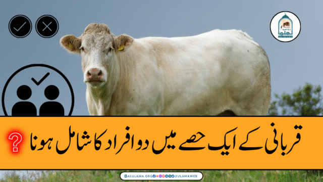 قربانی کے ایک حصے میں دو افراد کا شامل ہونا