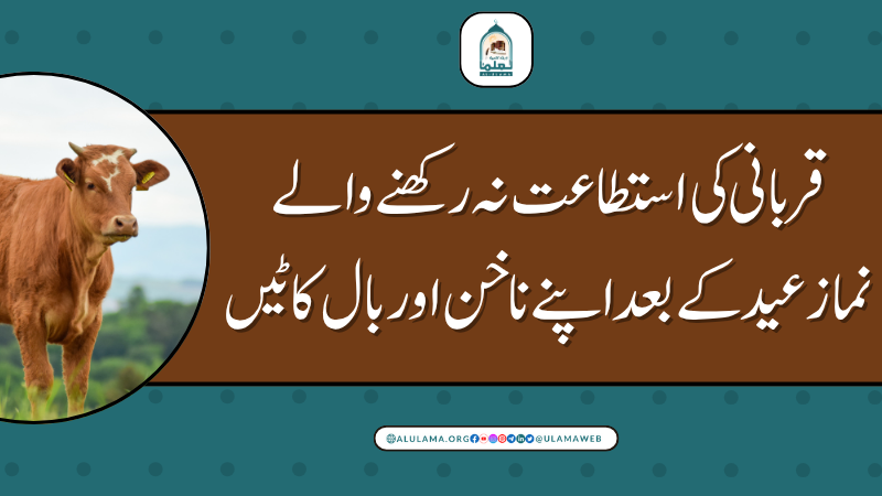 قربانی کی استطاعت نہ رکھنے والے نماز عید کے بعد اپنے ناخن اور بال کاٹیں