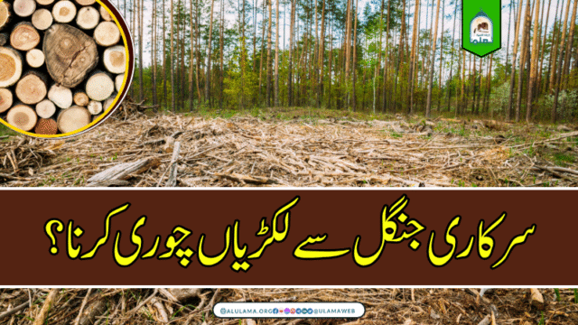 سرکاری جنگل سے لکڑیاں چوری کرنا؟