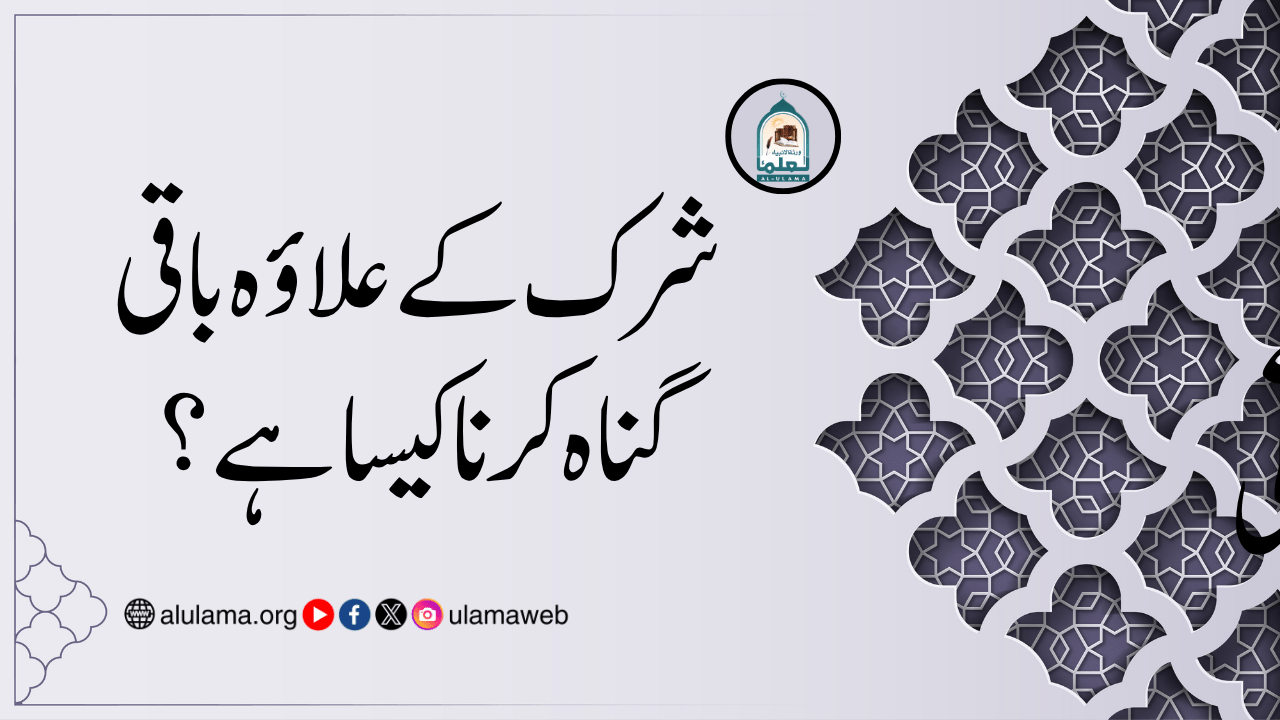 شرک کے علاؤہ باقی گناہ کرنا کیسا ہے؟