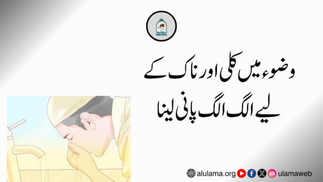 وضوء میں کلی اور ناک کے لیے الگ الگ پانی لینا