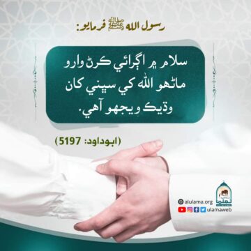 سلام ۾ اڳرائي ڪرڻ