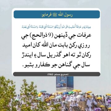 عرفات جي روزي جي فضيلت