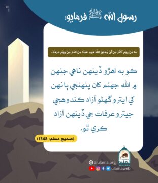 عرفات جي ڏينهن جي فضيلت