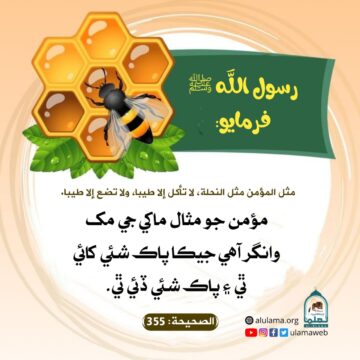 مؤمن جو مثال