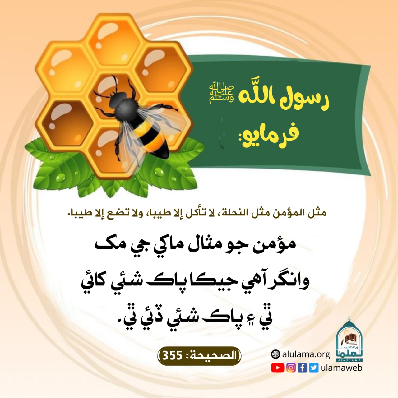 مؤمن جو مثال مؤمن جو مثال