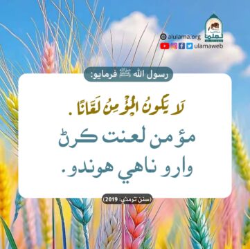 مؤمن لعنت ناهي ڪندو