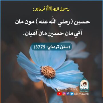 سيدنا حسين رضي الله عنه جي فضيلت